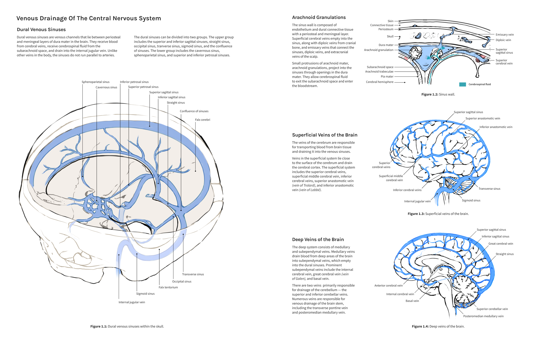 Final visualization