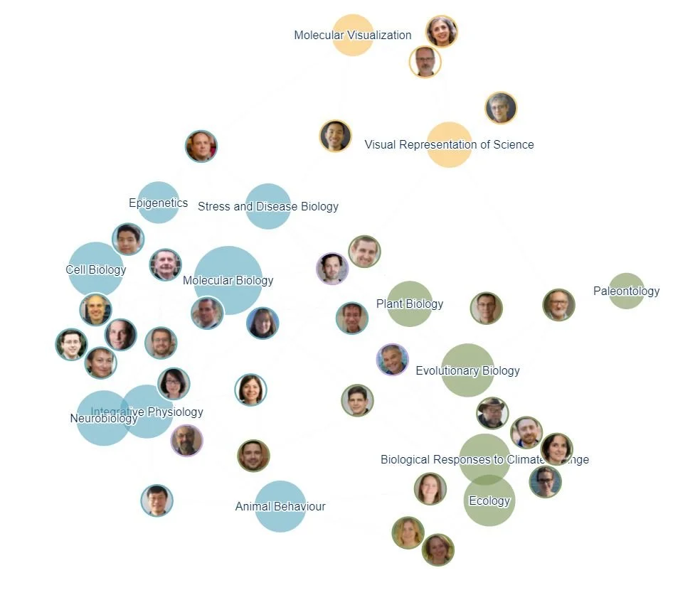 Force directed graph